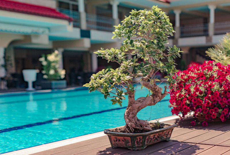 Vox Maris Grand Resort (Adults Only) Costinesti Eksteriør bilde
